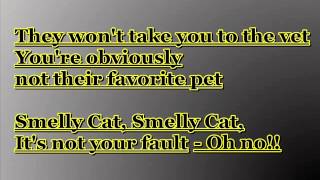 Phoebe Buffay - Smelly Cat Lyrics