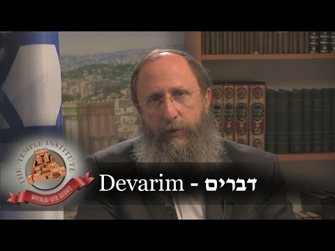 Weekly Torah Portion: Devarim