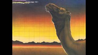 CAMEL - SUMMER LIGHTING