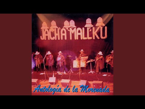 Hombre Solitario | Sombrerito Borsalino | Mama Panchita