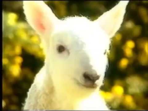 Iarnród Éireann level crossing "lamb" PIF 2006.