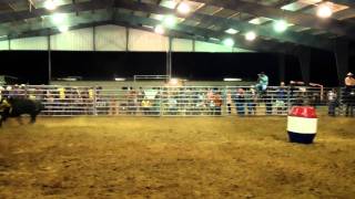 wfo mexican bullfighting2