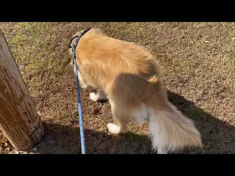 Lover’s Leap at Queen Wilhelmina Lodge