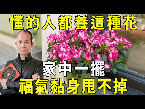 花風水