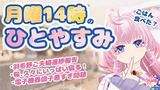 あわてんぼうのサークラロース、ドアにぶつかってお怪我する【＃猫桜庵 /＃Vtuber /#雑談 】