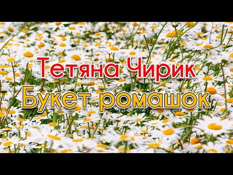 Букет ромашок - Тетяна Чирик (Українські пісні,  Ліричні пісні)