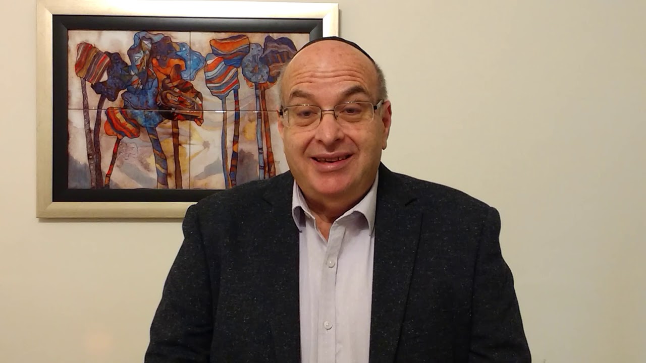 Promotional video thumbnail 3 for Rabbi Freddy