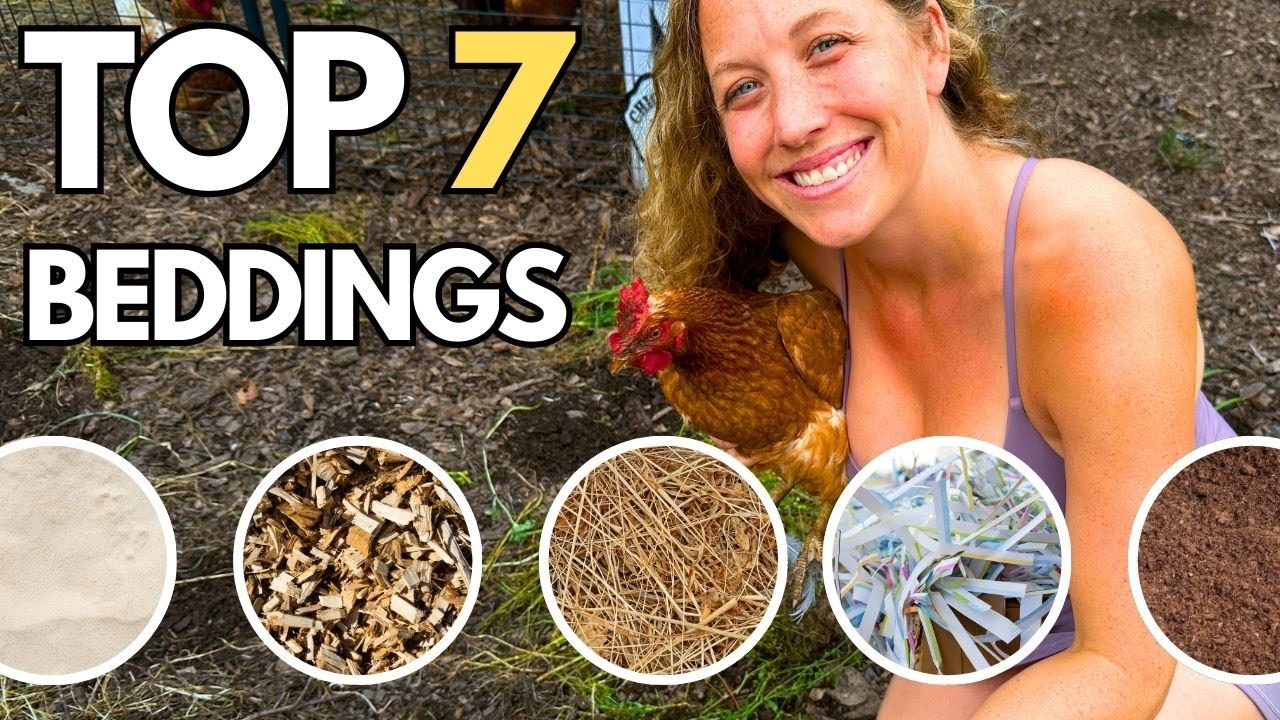 Best Bedding Materials for a Healthy Chicken Coop
