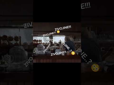 ✨ dzakovic core ✨ | Vojna Akademija | Sezona 5 epizoda 7 | #vojnaakademija #zivojindzakovic #shorts