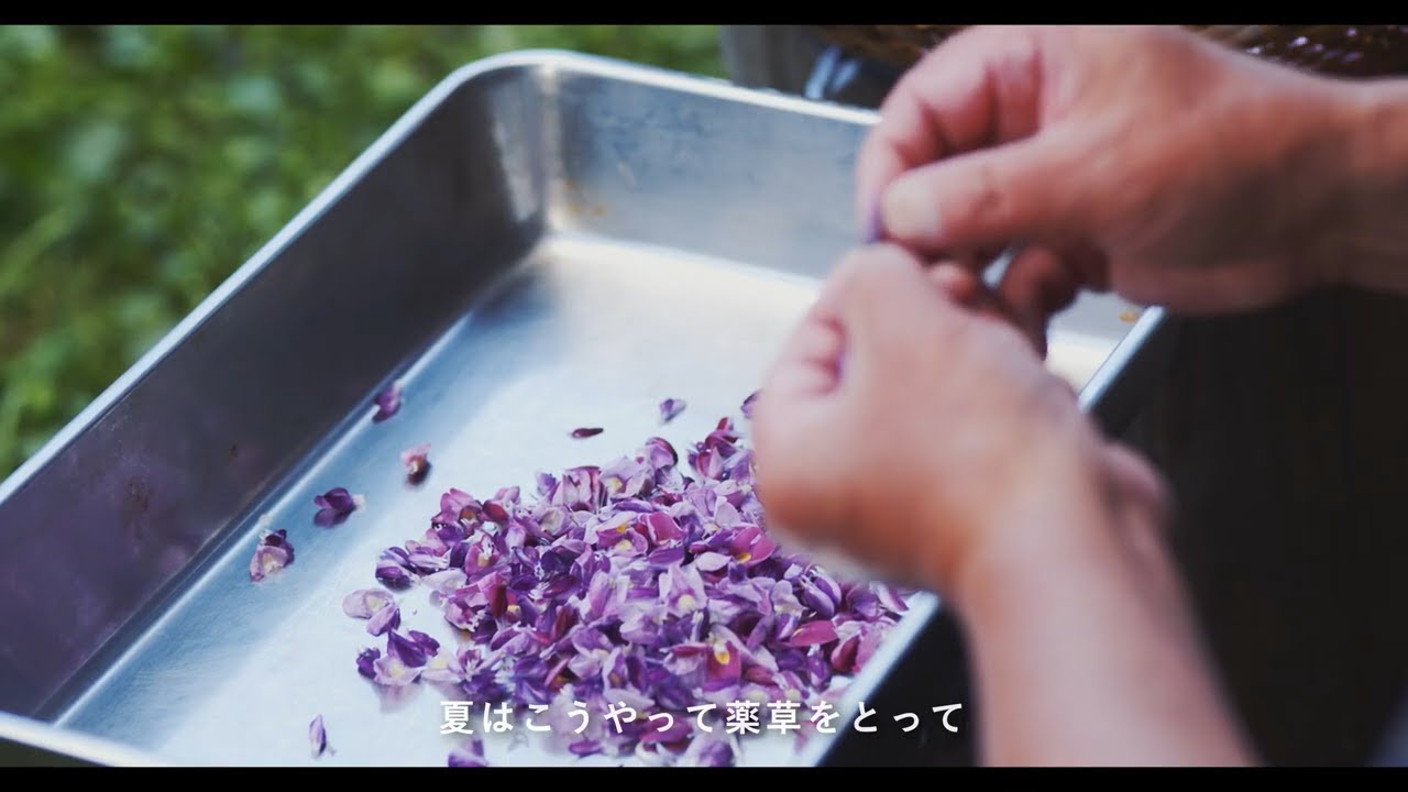 暮らし息づくこのまちに 　飛騨市PR動画