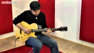 Video thumbnail for Dean Zelinsky Private Label Zenyatta Custom E-Gitarre im Video auf musikmachen.de by musikmachen.de