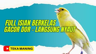 Download lagu SUARA BURUNG | KENARI FULL ISIAN SUPER MEWAH mp3 Download lagu SUARA BURUNG | KENARI FULL ISIAN SUPER MEWAH mp3