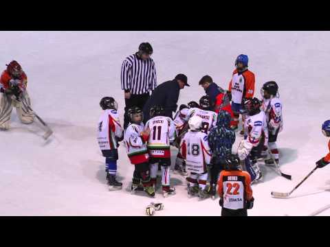 5. Ogólnopolski Turniej Minihokeja na lodzie  - Tychy.pl