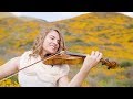 I See the Light (from Disney's Tangled) Violin Cover - Taylor Davis