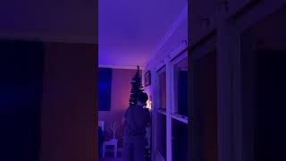 Time to take down my Christmas tree
