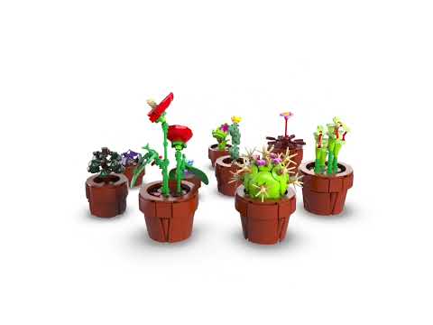 Vidéo LEGO Icons 10329 : Les plantes miniatures