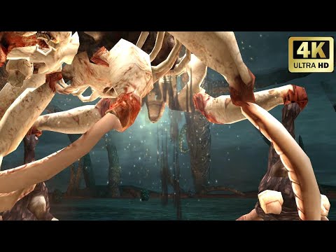 Knights of the Temple II 4K ULTRA HDR All Cutscenes Full Game Movie 4K HDR