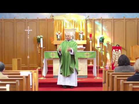 Fr. Rudolf V. D'Souza - Therefore I tell you, do not worry about your life.