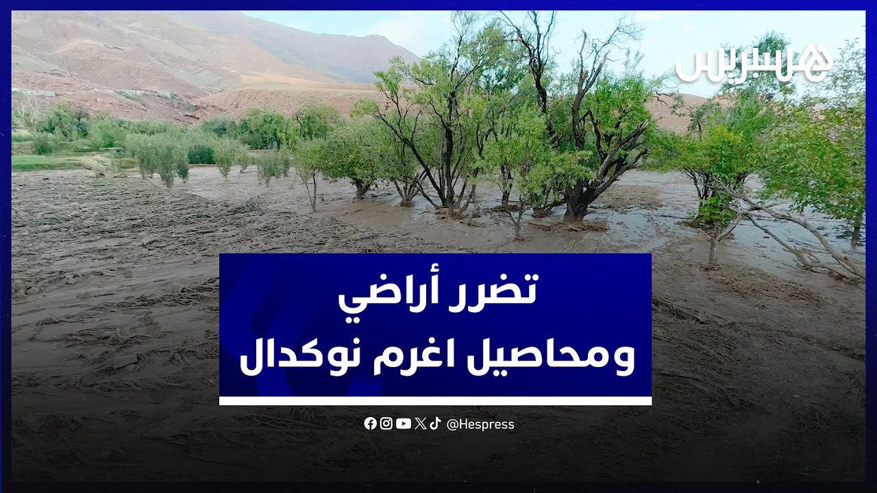 تضرر أراضي ومحاصيل اغرم نوكدال.. فلاحون يتحسرون على أشجار أسقطتها العاصفة ومزروعات غطتها الحجارة thumbnail