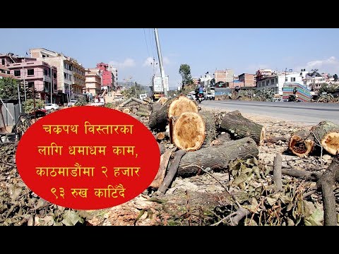 चक्रपथ विस्तारका लागि धमाधम काम, काठमाडौंमा २ हजार ९३ रुख काटिँदै [फोटोफिचर]