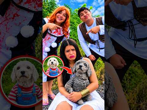 Se burlaron de mí y le hicieron daño a mi perrito 😭🐶💔