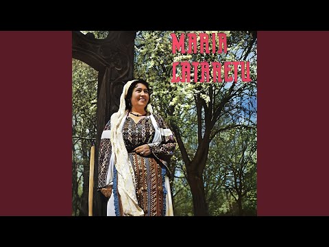 Pe Drumul De La Cepari