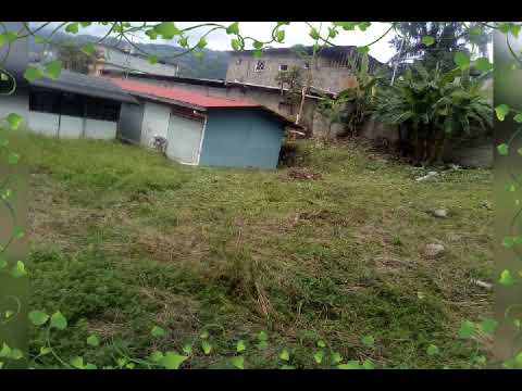 1era Jornada de limpieza