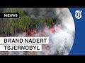 Ramp dreigt bij Tsjernobyl door bosbranden