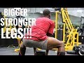 Intense Leg Workout For Building Muscle & Strength For Men & Women