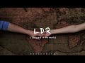 Shoti- LDR (slowed + reverb) lyrics