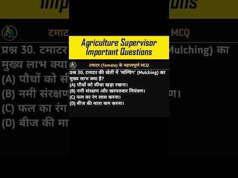 Agriculture Supervisor MCQ | टमाटर | Agriculture Supervisor Important Questions | Horticulture MCQ22