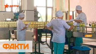 Лидеры в мире: Украина экспортирует 60% подсолнечного масла планеты