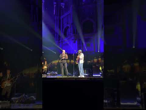 Live at the Royal Albert Hall - soundcheck with Cat Burns ❤️ #shorts