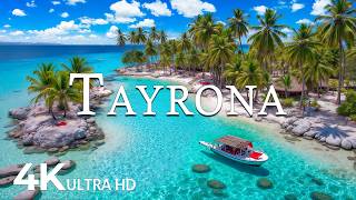 Download lagu FLYING OVER TAYRONA (4K UHD) – Soothing Music Along With Beautiful Nature Video - 4K Video ULTRA HD mp3 Download lagu FLYING OVER TAYRONA (4K UHD) – Soothing Music Along With Beautiful Nature Video - 4K Video ULTRA HD mp3