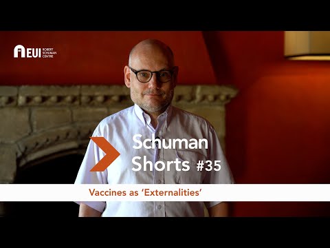 Externalities | Thorsten Beck - Schuman Shorts #35