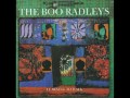 The Boo Radleys "Learning To Walk" 1993 Compilation