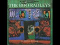 The Boo Radleys "Learning To Walk" 1993 Compilation