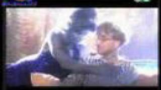 L'art pour l'art Társulat: Álomkék