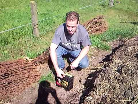 airbag vernield autoruit