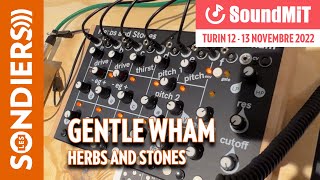 Video thumbnail for [SOUNDMIT 2022] HERBS AND STONES GENTLE WHAM : Groovebox analogique 6 voix by Les Sondiers