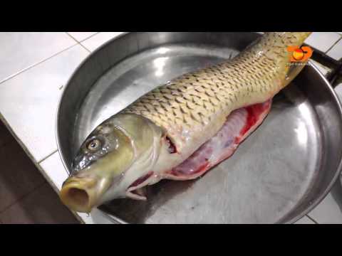 Ne Shtepine Tone, 11 Janar 2016, Pjesa 4 - Top Channel Albania - Entertainment Show