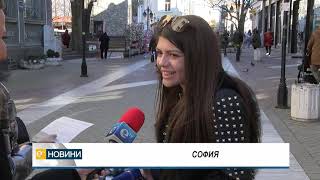 Стартира разяснителна кампания за отглеждането и регистрацията на домашните кучета