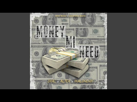 Money Mi Need (feat. Altek & Maloneyy)