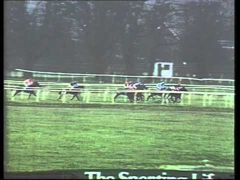 1989 Top Rank Christmas Hurdle