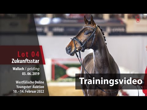 Online Youngster-Auktion Training Lot 4 Zukunftsstar Wallach v. Zoom - Dante Weltino