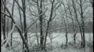 Jan Niemand - Cold Morning