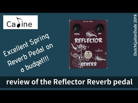 Caline Time Space Delay + Reflector Spring Reverb image 5