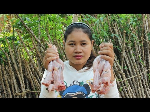Awesome Cooking Fried  Spicy Frog Recipe - Cook Frog Recipes - Village Food Factory