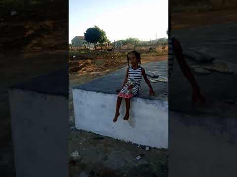 Cordel marmelo o jacaré banguelo