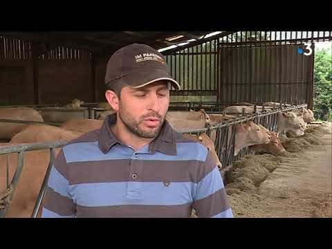 download lagu mp3 mp4 Producteur Bio Nouvelle Aquitaine, download lagu Producteur Bio Nouvelle Aquitaine gratis, unduh video klip Producteur Bio Nouvelle Aquitaine